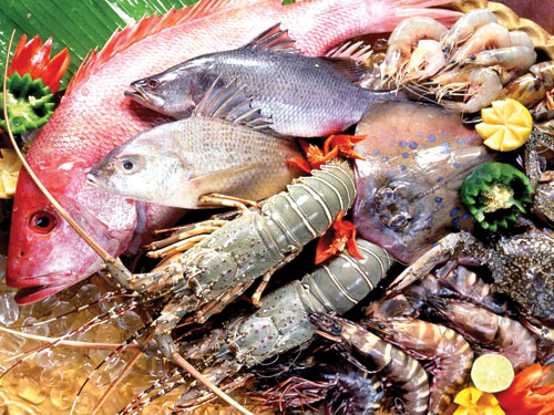 Tôm cá - Công Ty TNHH Thực Phẩm Số Một Đồng Nai